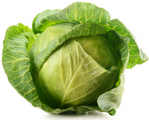cabbage-020